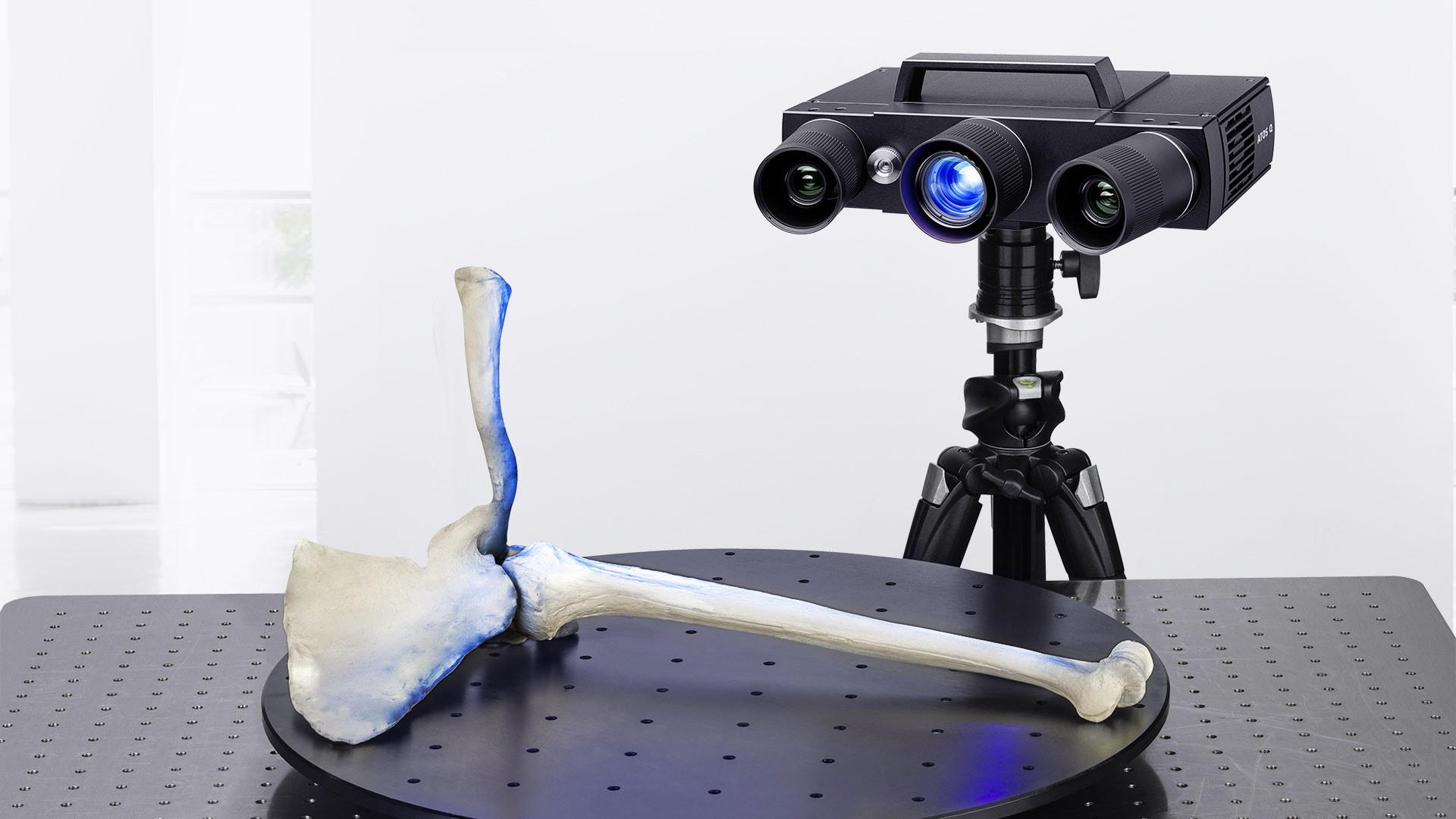 3D Inspection Forensics Bone